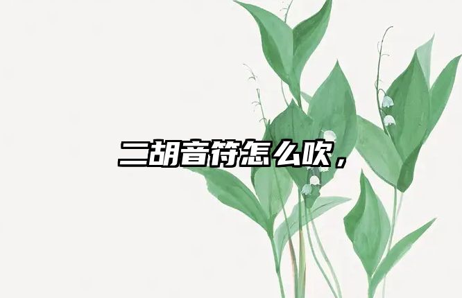 二胡音符怎么吹，