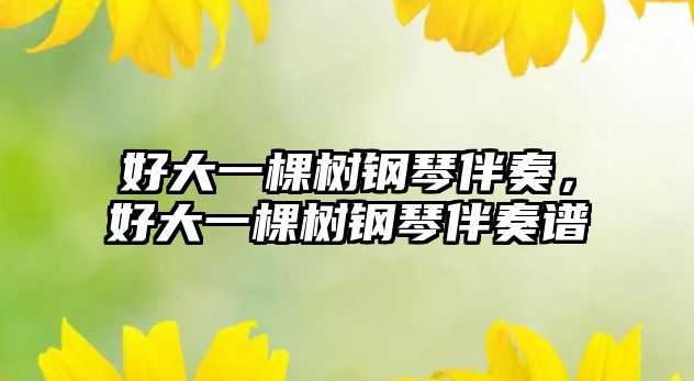 好大一棵樹鋼琴伴奏，好大一棵樹鋼琴伴奏譜