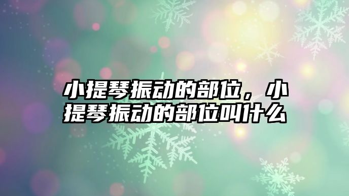 小提琴振動的部位，小提琴振動的部位叫什么