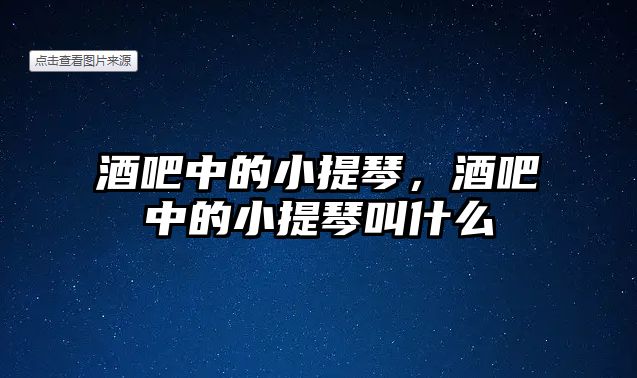 酒吧中的小提琴，酒吧中的小提琴叫什么