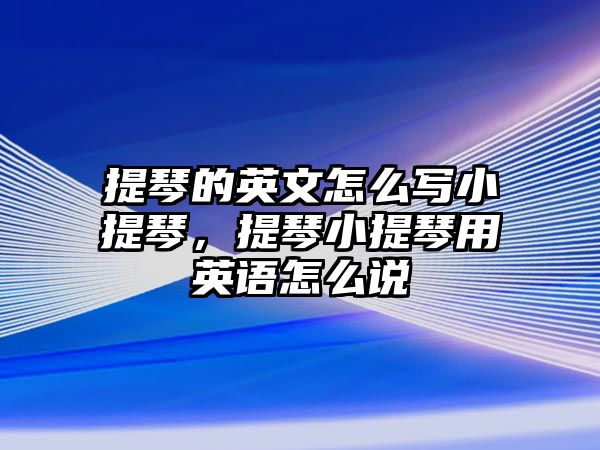 提琴的英文怎么寫小提琴，提琴小提琴用英語怎么說