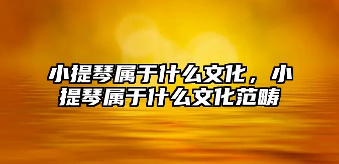 小提琴屬于什么文化，小提琴屬于什么文化范疇