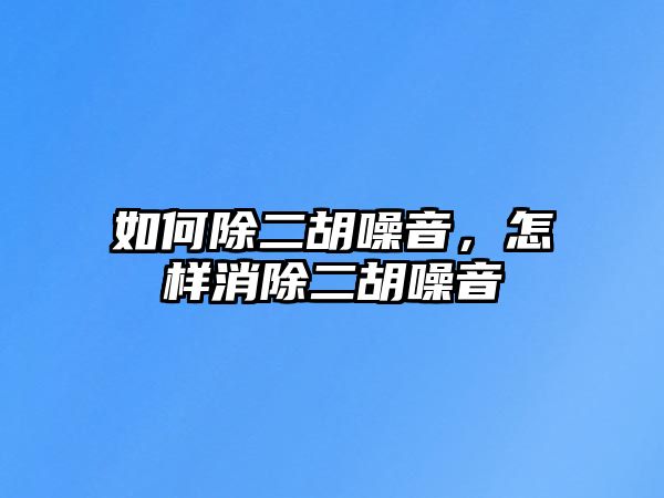 如何除二胡噪音，怎樣消除二胡噪音