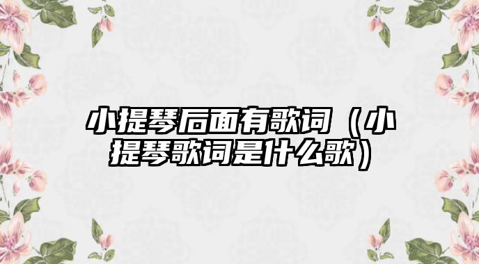 小提琴后面有歌詞（小提琴歌詞是什么歌）