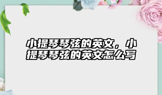 小提琴琴弦的英文，小提琴琴弦的英文怎么寫