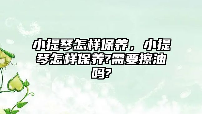 小提琴怎樣保養，小提琴怎樣保養?需要擦油嗎?