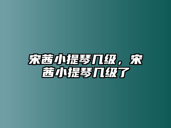 宋茜小提琴幾級，宋茜小提琴幾級了