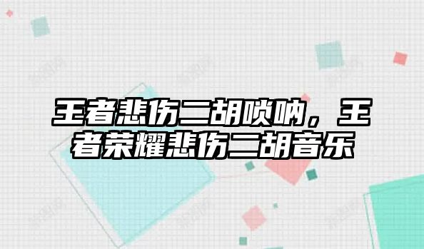 王者悲傷二胡嗩吶，王者榮耀悲傷二胡音樂