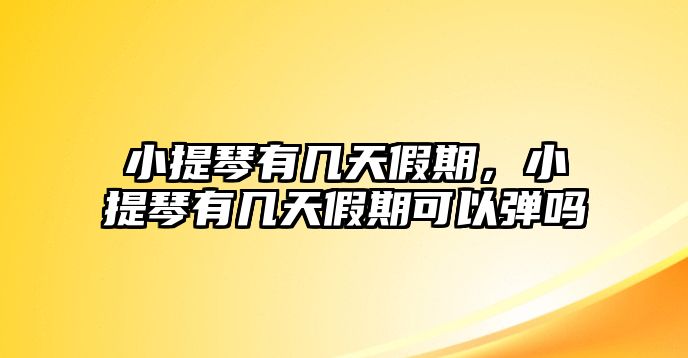 小提琴有幾天假期，小提琴有幾天假期可以彈嗎