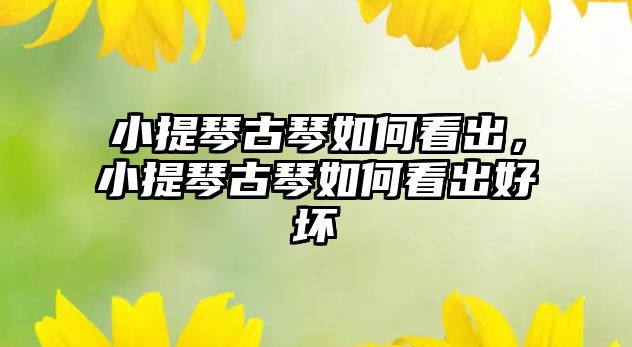 小提琴古琴如何看出，小提琴古琴如何看出好壞