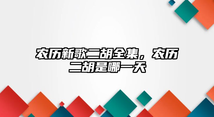 農歷新歌二胡全集，農歷二胡是哪一天