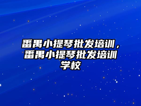 番禺小提琴批發(fā)培訓(xùn)，番禺小提琴批發(fā)培訓(xùn)學(xué)校