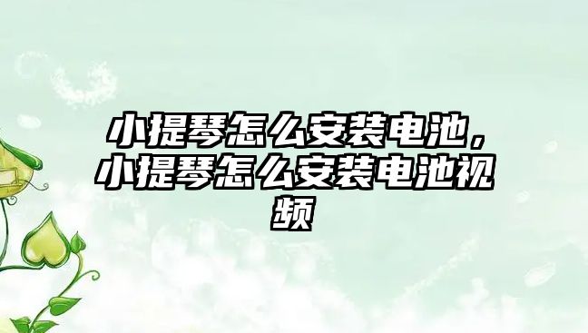 小提琴怎么安裝電池，小提琴怎么安裝電池視頻