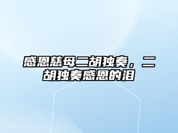 感恩慈母二胡獨奏，二胡獨奏感恩的淚