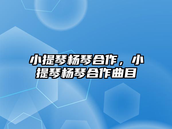 小提琴楊琴合作，小提琴楊琴合作曲目