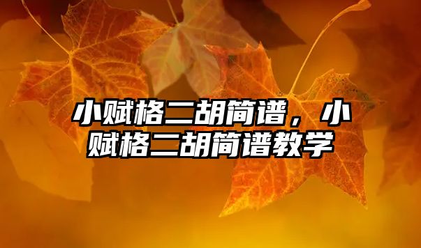 小賦格二胡簡譜，小賦格二胡簡譜教學