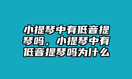 小提琴中有低音提琴嗎，小提琴中有低音提琴嗎為什么