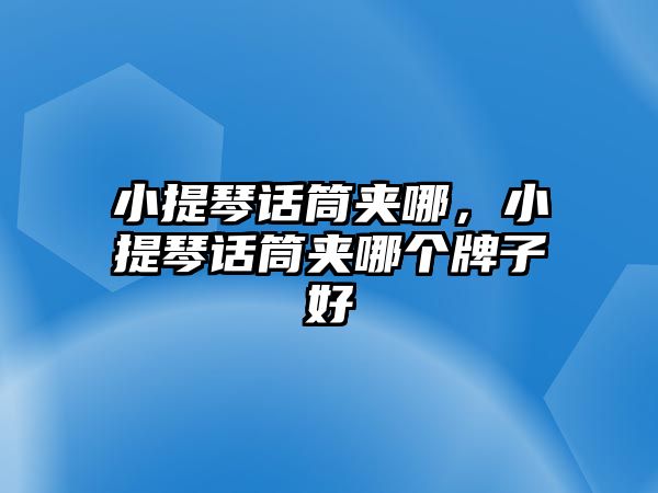 小提琴話筒夾哪，小提琴話筒夾哪個牌子好