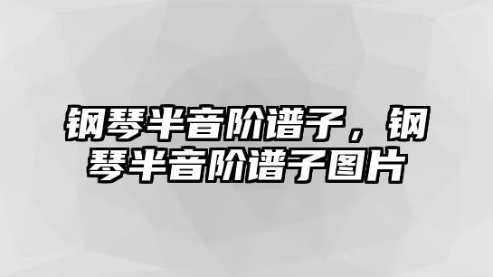 鋼琴半音階譜子，鋼琴半音階譜子圖片