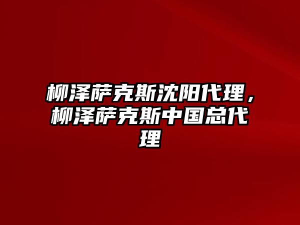 柳澤薩克斯沈陽代理，柳澤薩克斯中國總代理