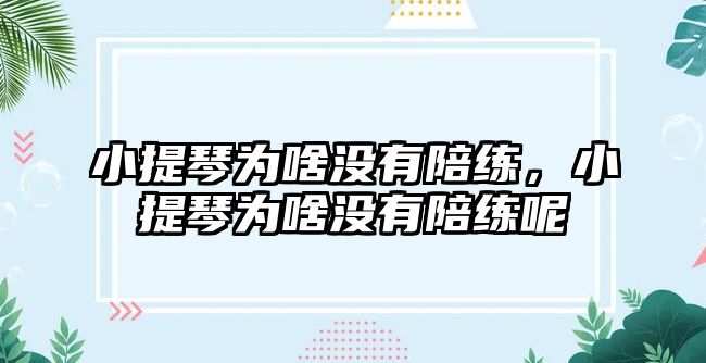 小提琴為啥沒有陪練，小提琴為啥沒有陪練呢