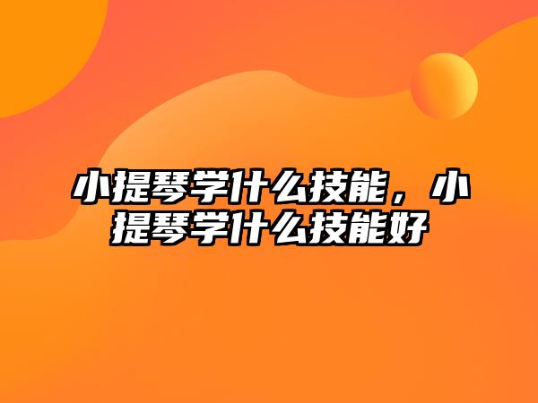 小提琴學什么技能，小提琴學什么技能好