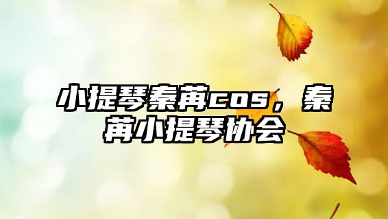 小提琴秦苒cos，秦苒小提琴協會