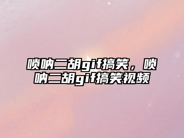 嗩吶二胡gif搞笑，嗩吶二胡gif搞笑視頻