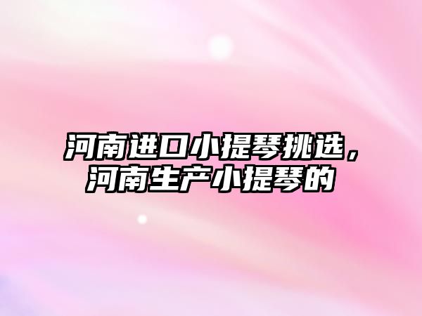 河南進口小提琴挑選，河南生產小提琴的