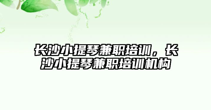 長沙小提琴兼職培訓，長沙小提琴兼職培訓機構