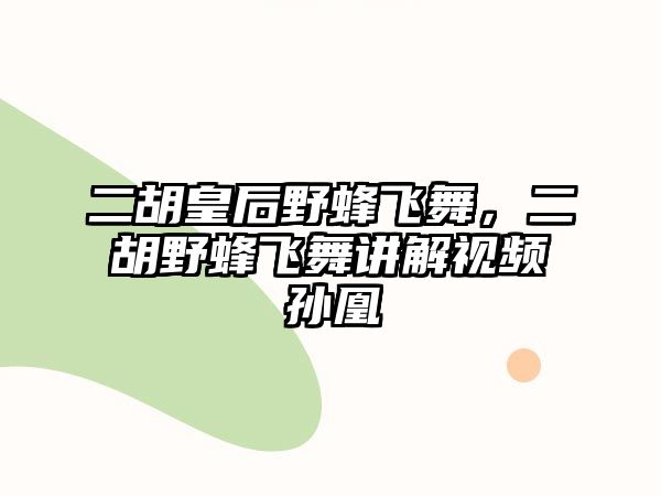 二胡皇后野蜂飛舞，二胡野蜂飛舞講解視頻孫凰