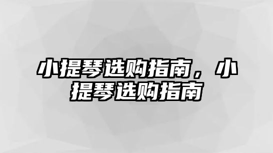 小提琴選購指南，小提琴選購指南