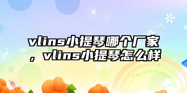 vlins小提琴哪個廠家，vlins小提琴怎么樣