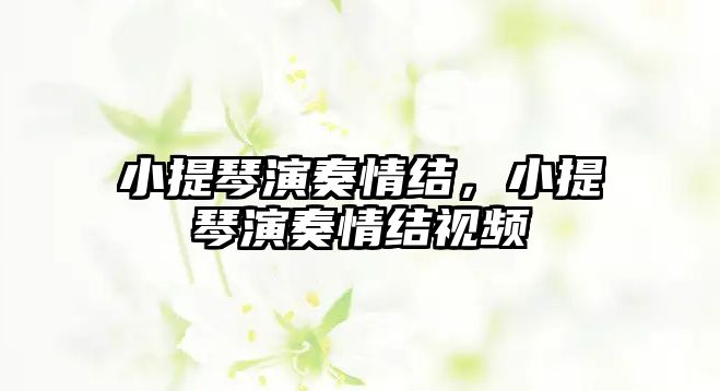 小提琴演奏情結(jié)，小提琴演奏情結(jié)視頻