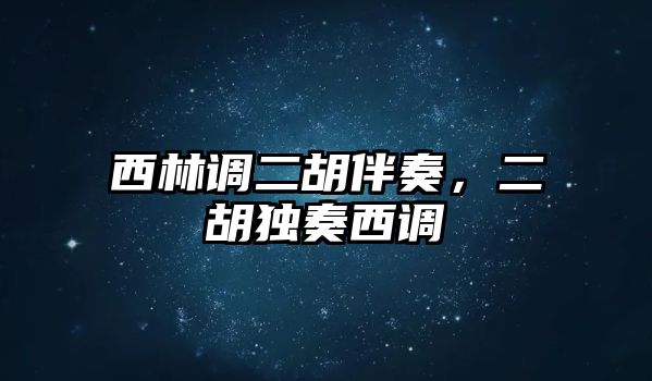 西林調(diào)二胡伴奏，二胡獨(dú)奏西調(diào)