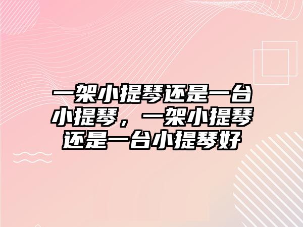 一架小提琴還是一臺小提琴，一架小提琴還是一臺小提琴好