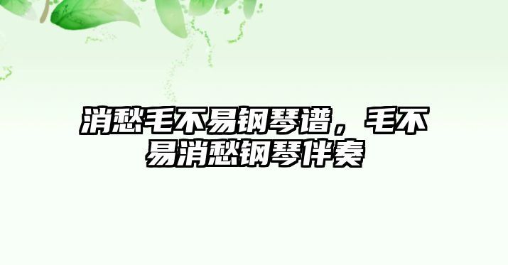 消愁毛不易鋼琴譜，毛不易消愁鋼琴伴奏