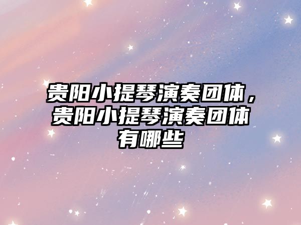 貴陽小提琴演奏團體，貴陽小提琴演奏團體有哪些