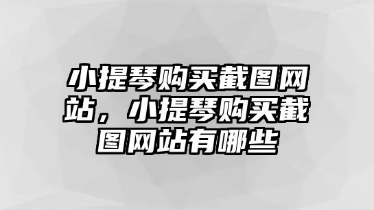 小提琴購買截圖網站，小提琴購買截圖網站有哪些