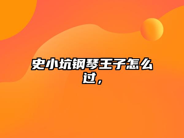 史小坑鋼琴王子怎么過，