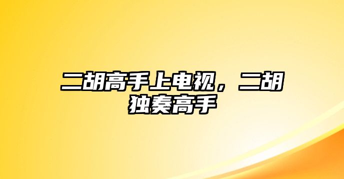 二胡高手上電視，二胡獨奏高手