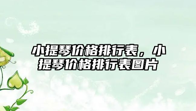 小提琴價格排行表，小提琴價格排行表圖片