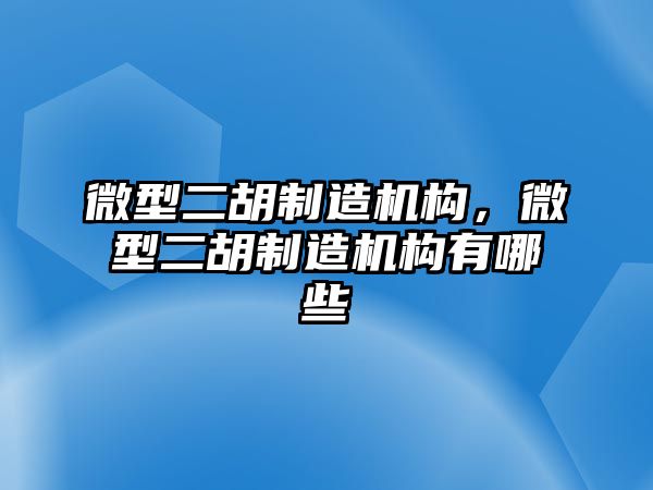 微型二胡制造機(jī)構(gòu)，微型二胡制造機(jī)構(gòu)有哪些