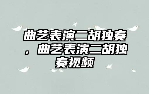 曲藝表演二胡獨奏，曲藝表演二胡獨奏視頻