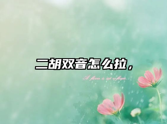 二胡雙音怎么拉，