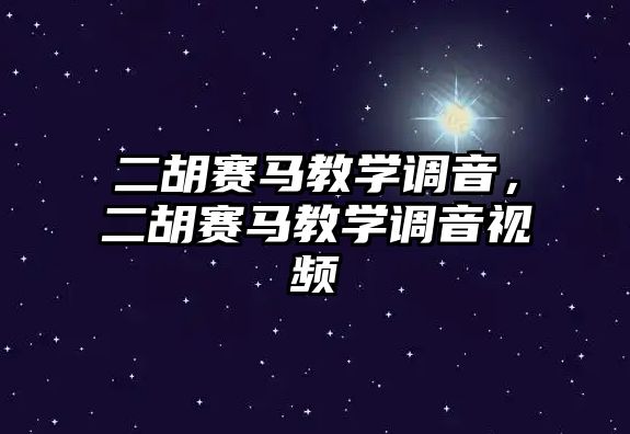 二胡賽馬教學調音，二胡賽馬教學調音視頻