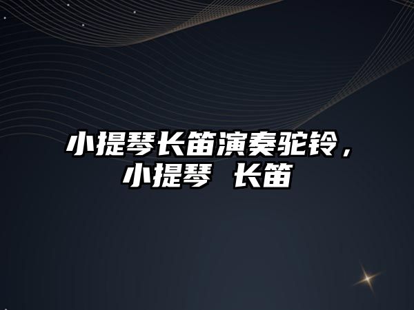 小提琴長笛演奏駝鈴，小提琴 長笛