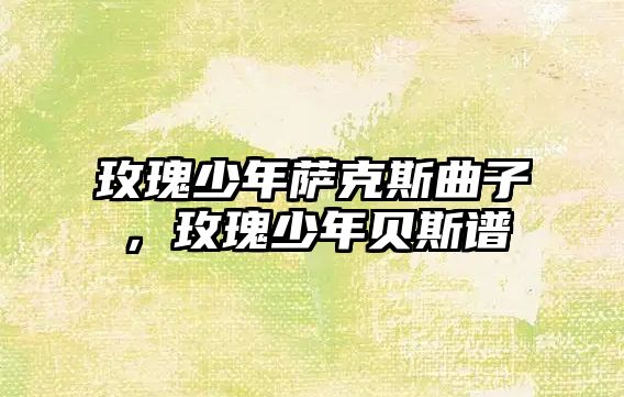 玫瑰少年薩克斯曲子，玫瑰少年貝斯譜