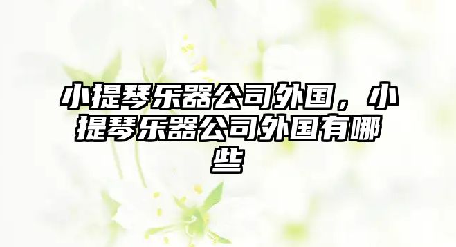 小提琴樂器公司外國，小提琴樂器公司外國有哪些