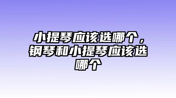 小提琴應該選哪個，鋼琴和小提琴應該選哪個